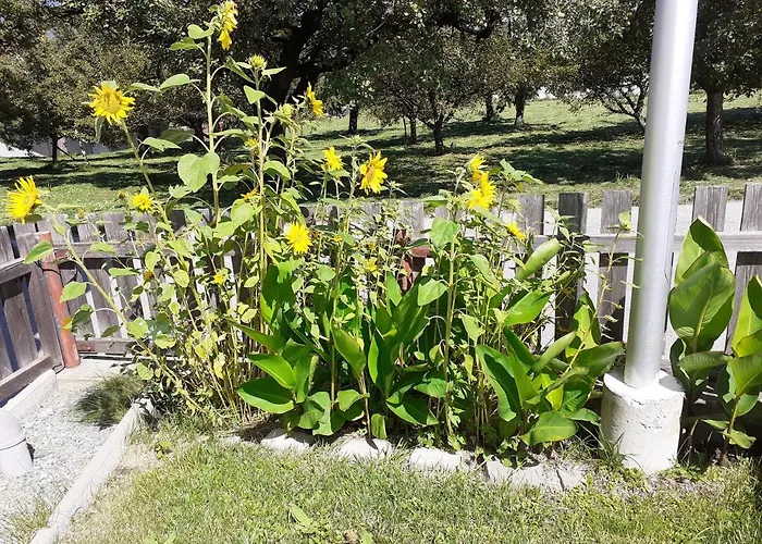 別荘 Beim Lener インスブルック