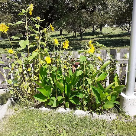 Holiday home Beim Lener Innsbruck